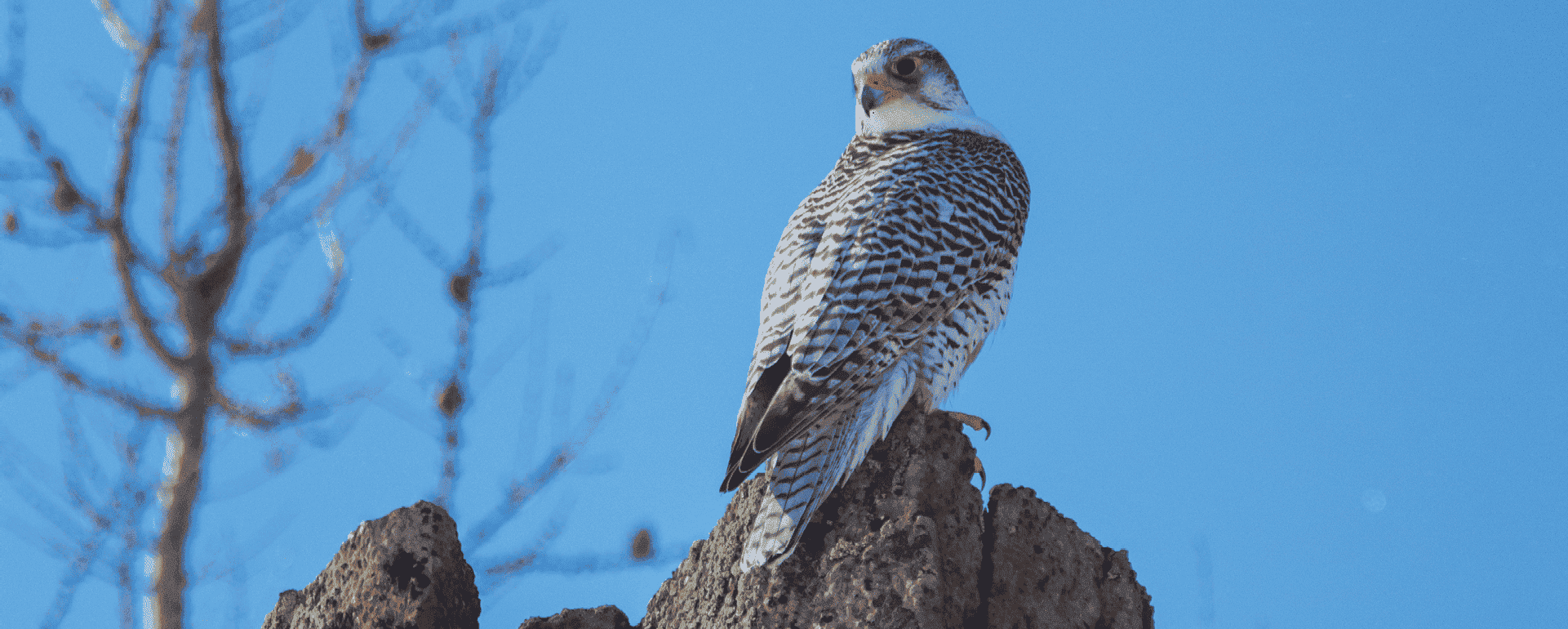 Риски, связанные с изменением климата