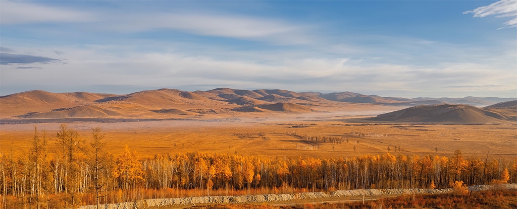 Экологический менеджмент