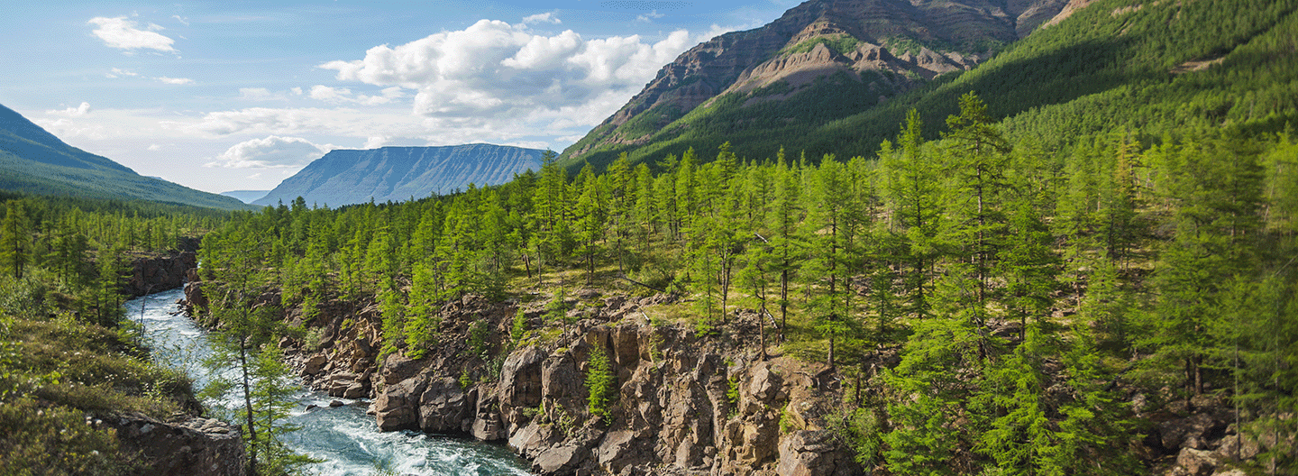 Земельные ресурсы и биоразнообразие