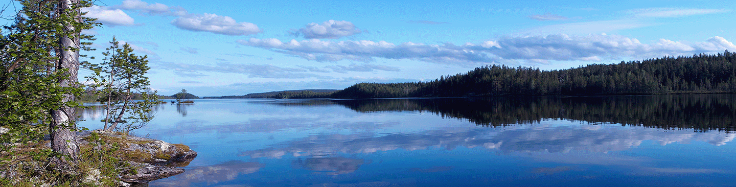 Экологическая программа